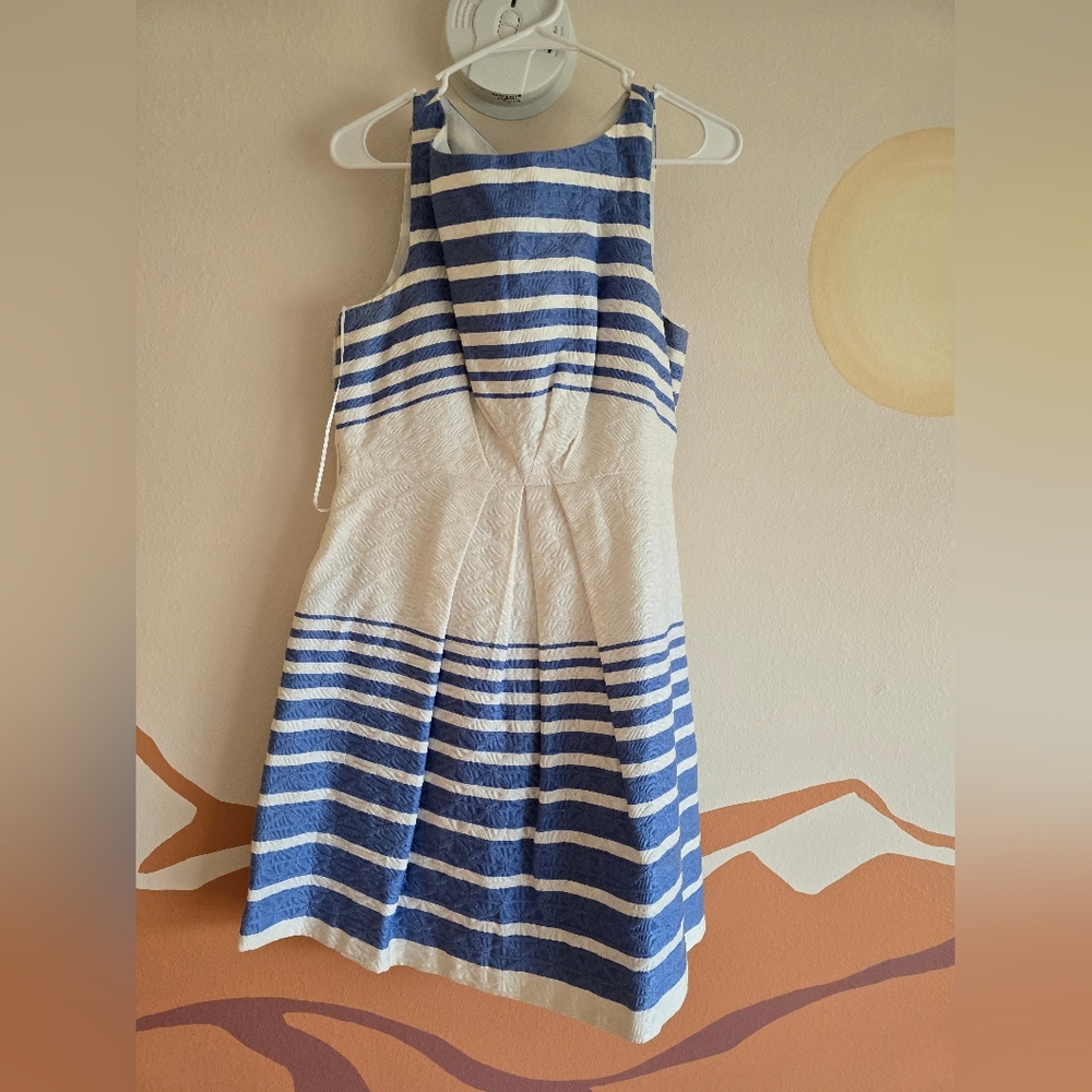 Taylor size 10 twee style dress